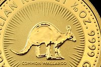 15 Dólares 1/10 Onça Wallaru 1992 Austrália